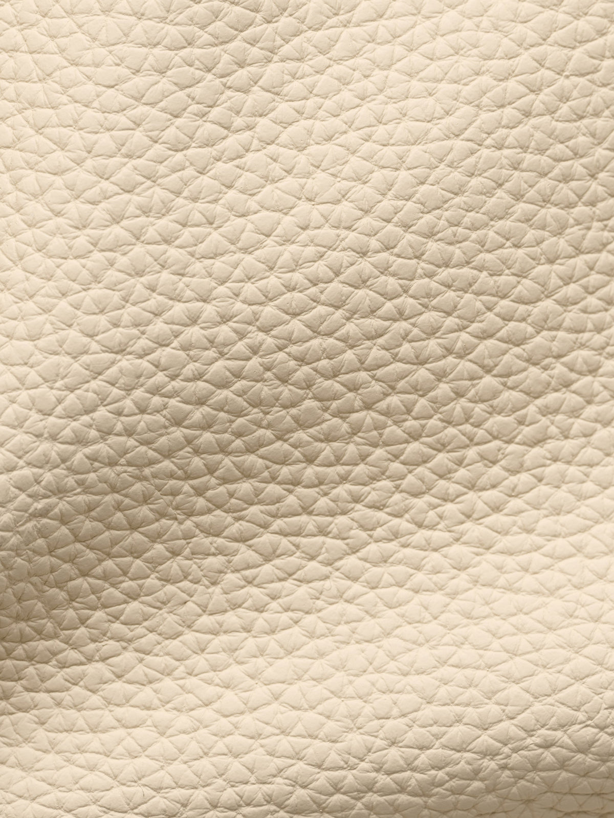 Dumpling Bag